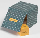 Rimma Gerlovina, Pompidou